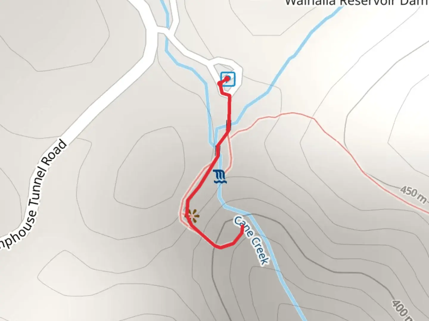 An image depicting the trail Cane Creek and Isaqueena Falls and its surrounding area.