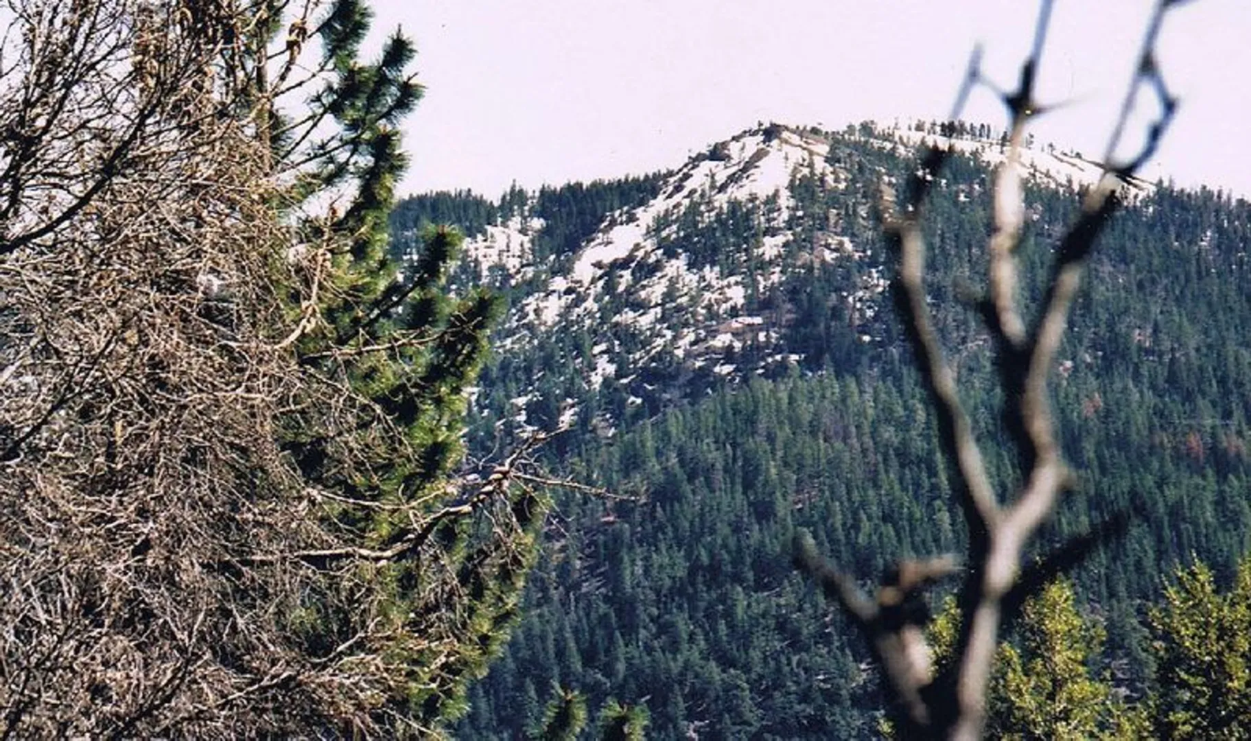 An image depicting the trail Milk Ranch Loop via Summit Springs Trail and its surrounding area.