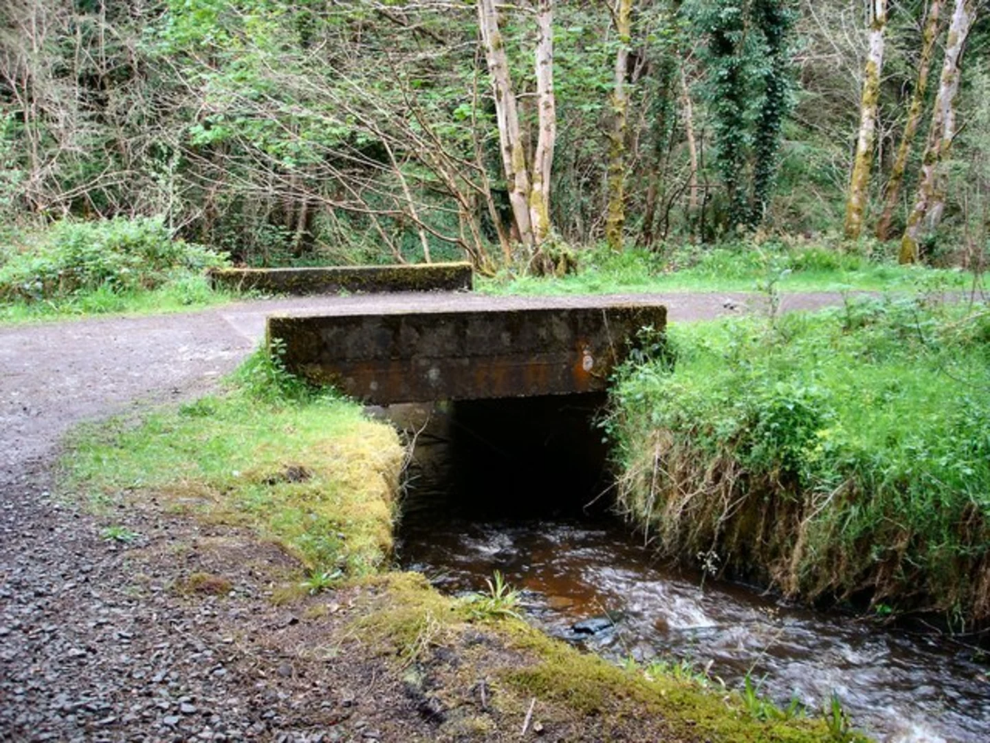 An image depicting the trail Muff Glen Forest Walk and its surrounding area.