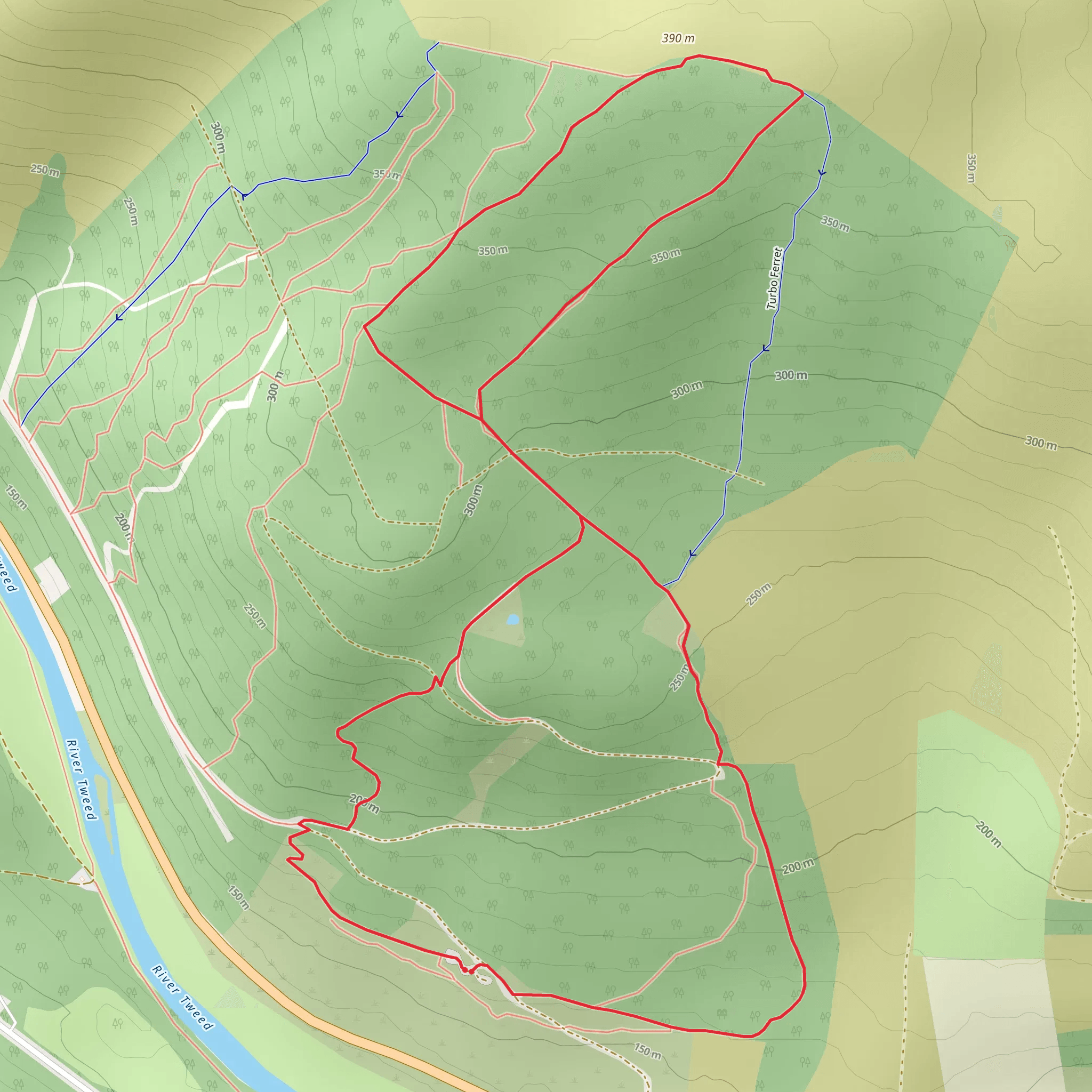 Thornielee Forest Cairn Loop Trail mobile static map