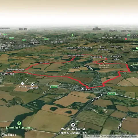 Park Spring, Dean Wood, Yewtree Spring and Newland's Wood Loop