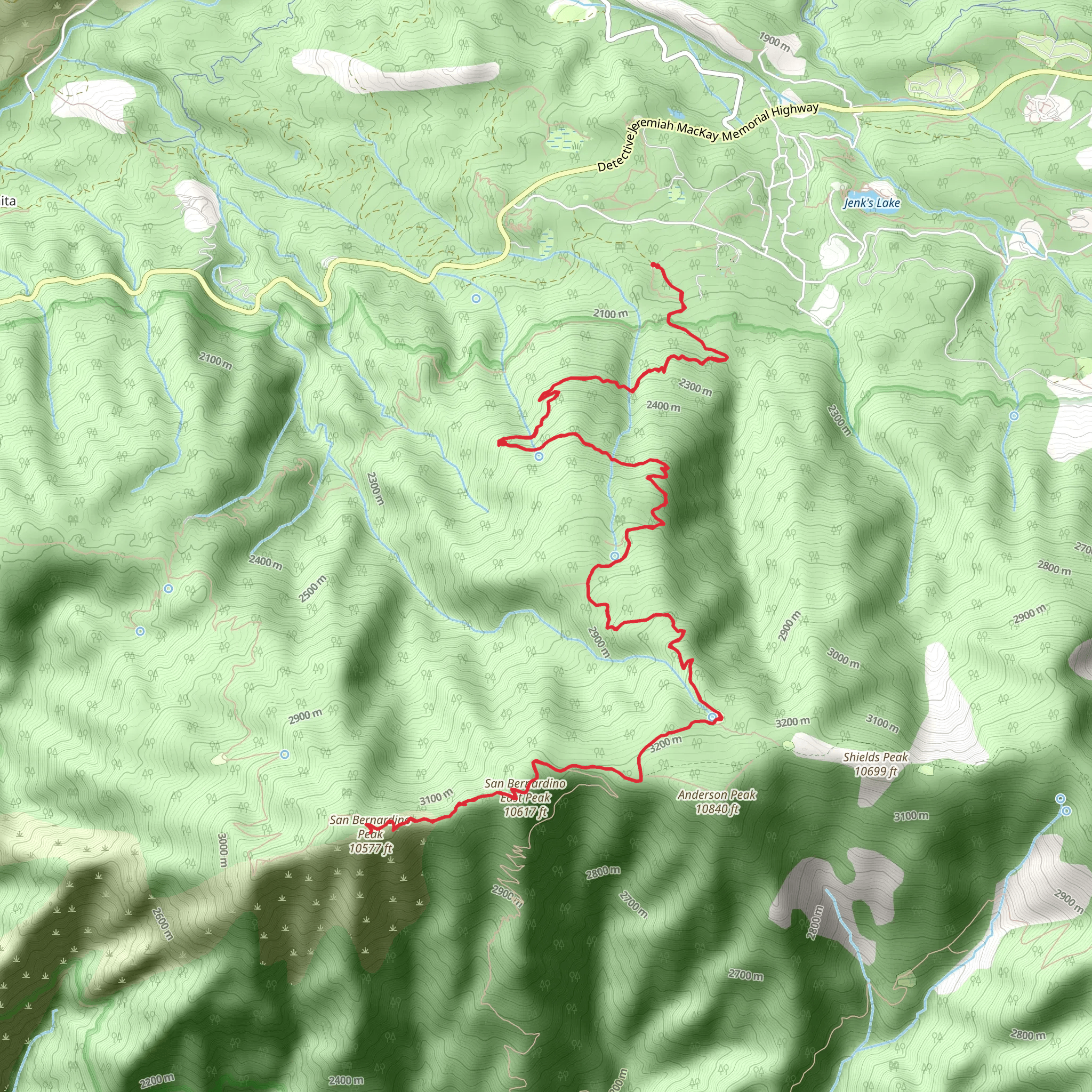 Forsee Creek Trail to San Bernardino Peak mobile static map
