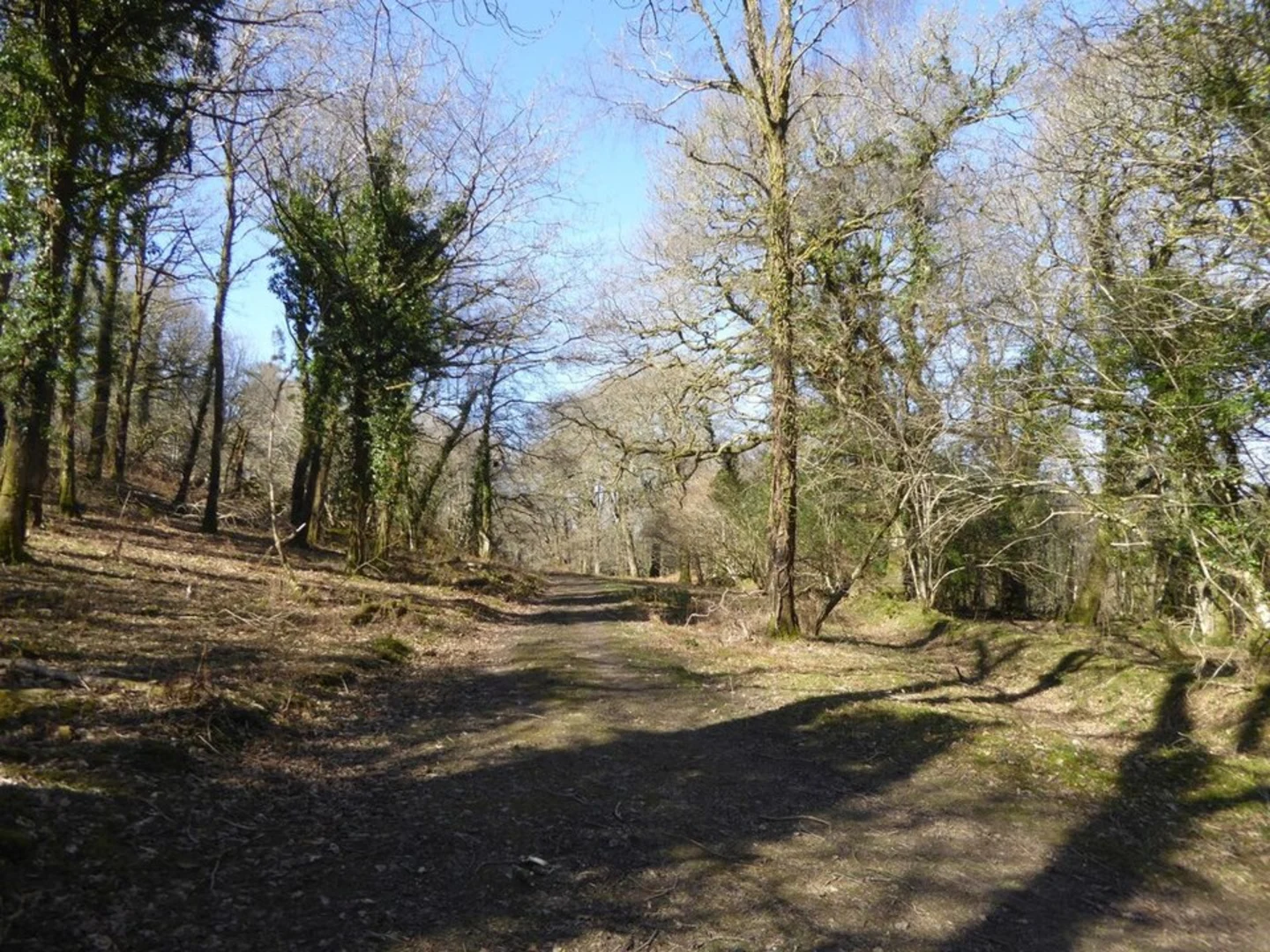 An image depicting the trail Yarner Woods Loop and its surrounding area.