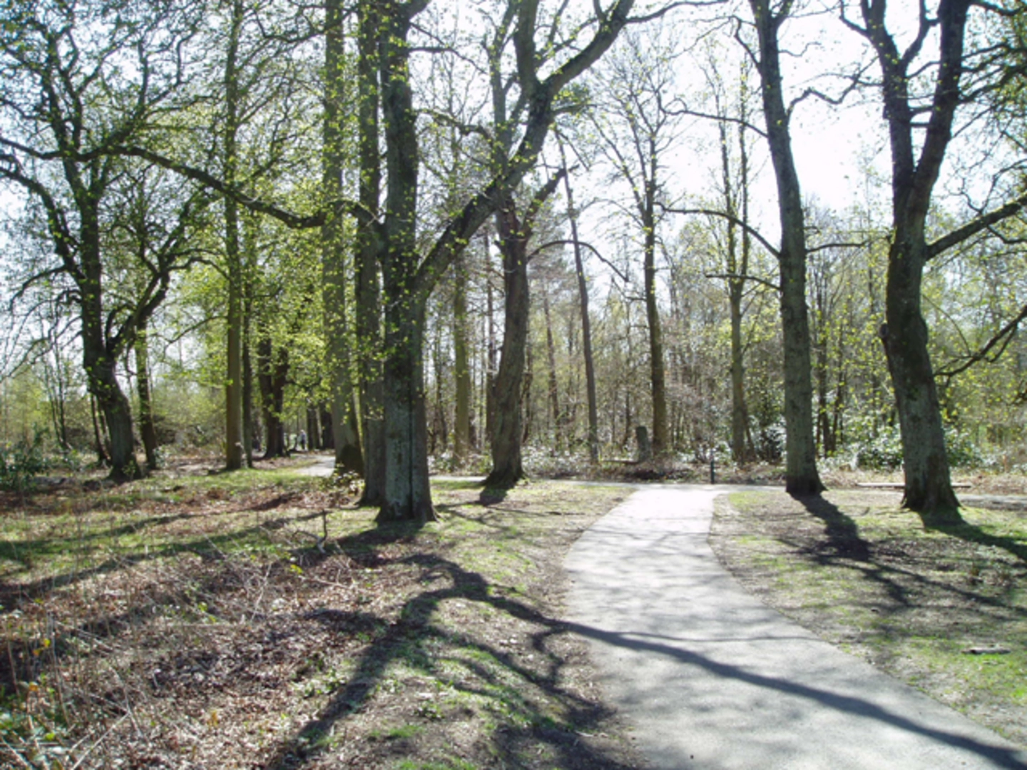An image depicting the trail Plean, Torwood Castle and Denovan Main and its surrounding area.