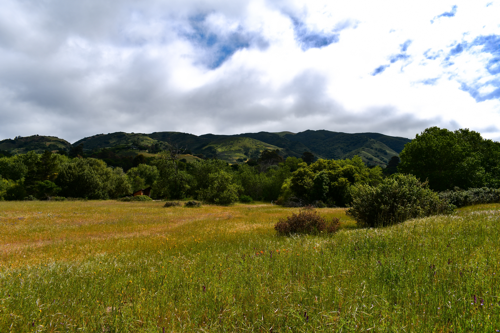 An image depicting the trail Cooper - Rancho Loop Trail and its surrounding area.