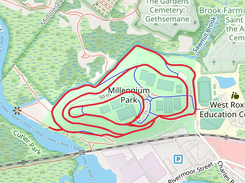Millennium Park Loop