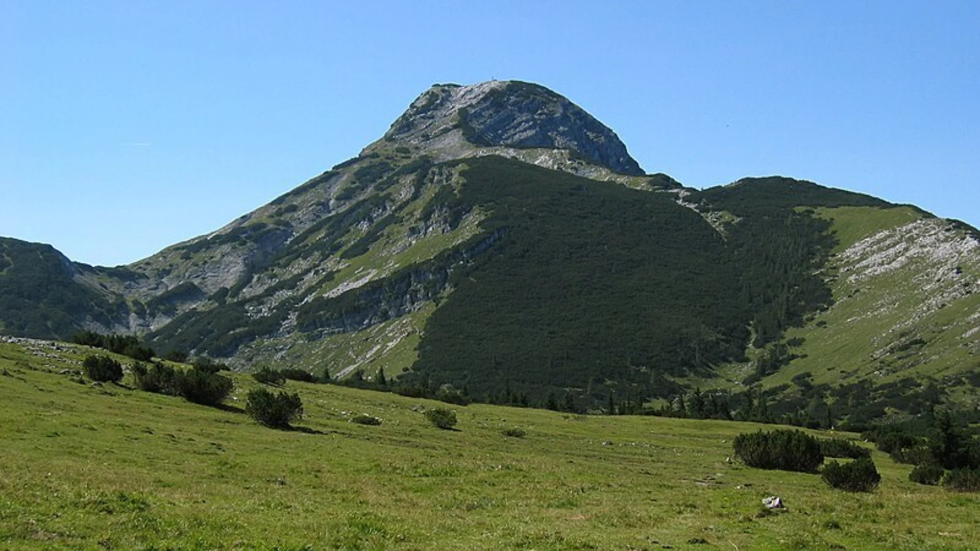 An image depicting the trail Kräuterinalm to the Hochstadl and its surrounding area.