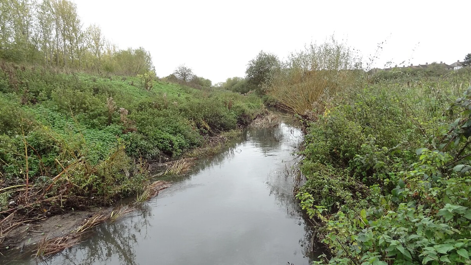 An image depicting the trail Old Dagenham Park and Beam Parklands Loop and its surrounding area.