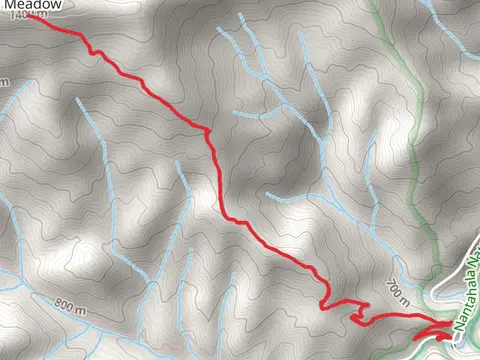 Jenkins Meadow Trail
