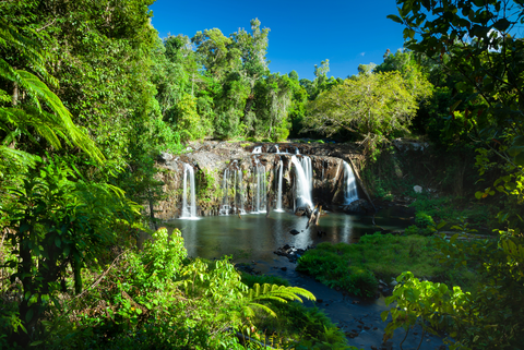 Wallicher Falls Track