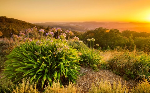Waterfall Gully to Mt Lofty Summit Track