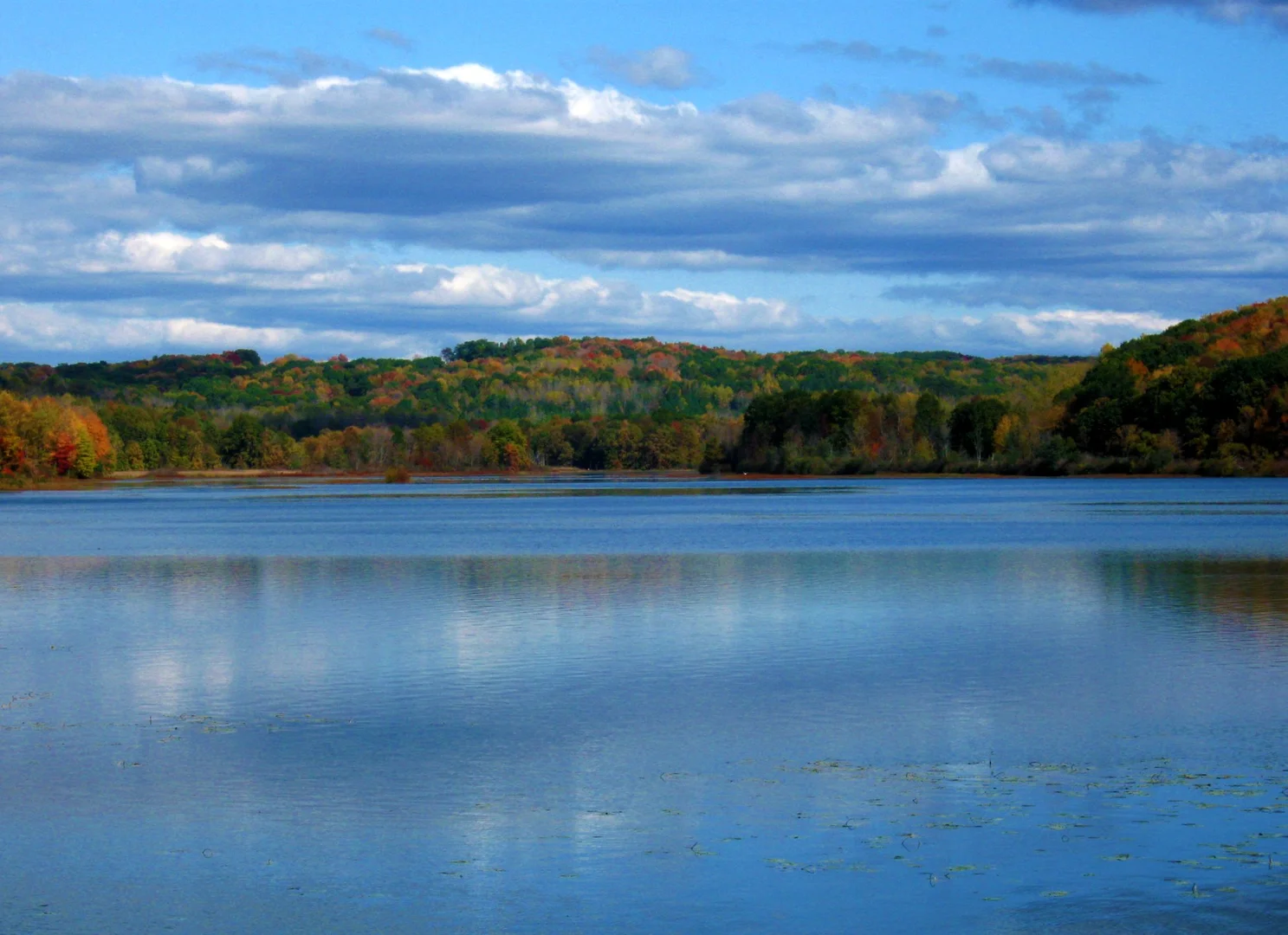 An image depicting the trail Lake Arthur North Shore Loop Trail and its surrounding area.