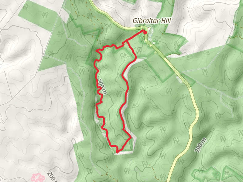 Beards Gully and Deadmans Loop Trail