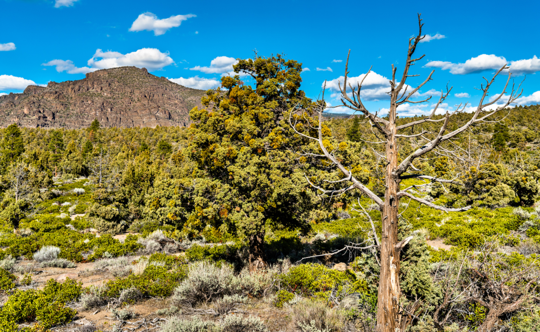An image depicting the trail Fish Creek Trail and its surrounding area.
