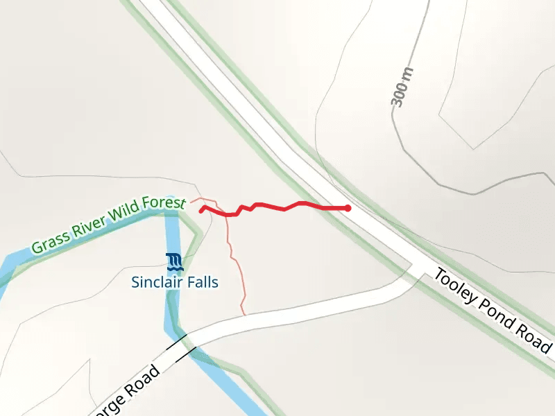 Tooley Pond Road Trail