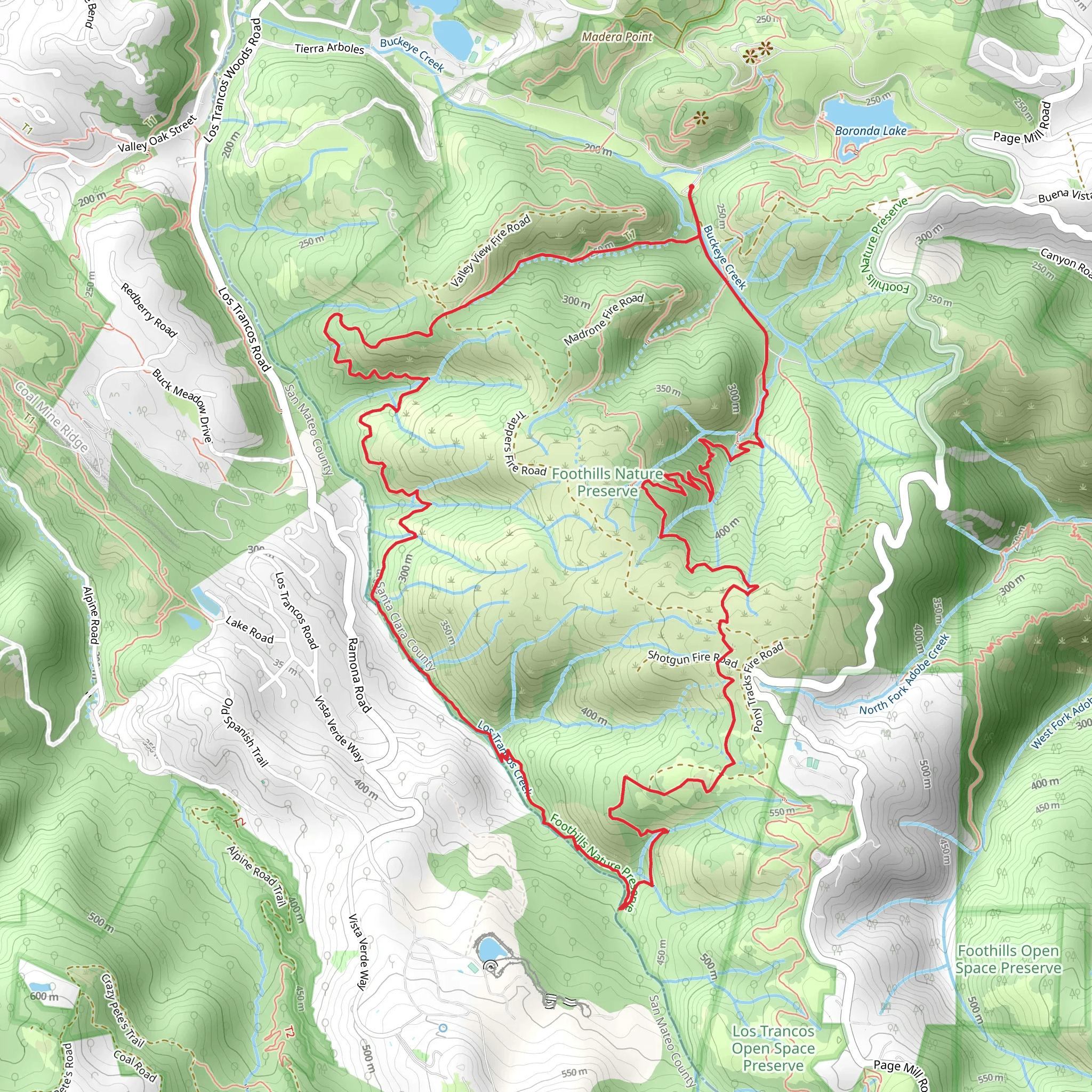Steep Hollow - Los Trancos - Fern Loop Trail mobile static map