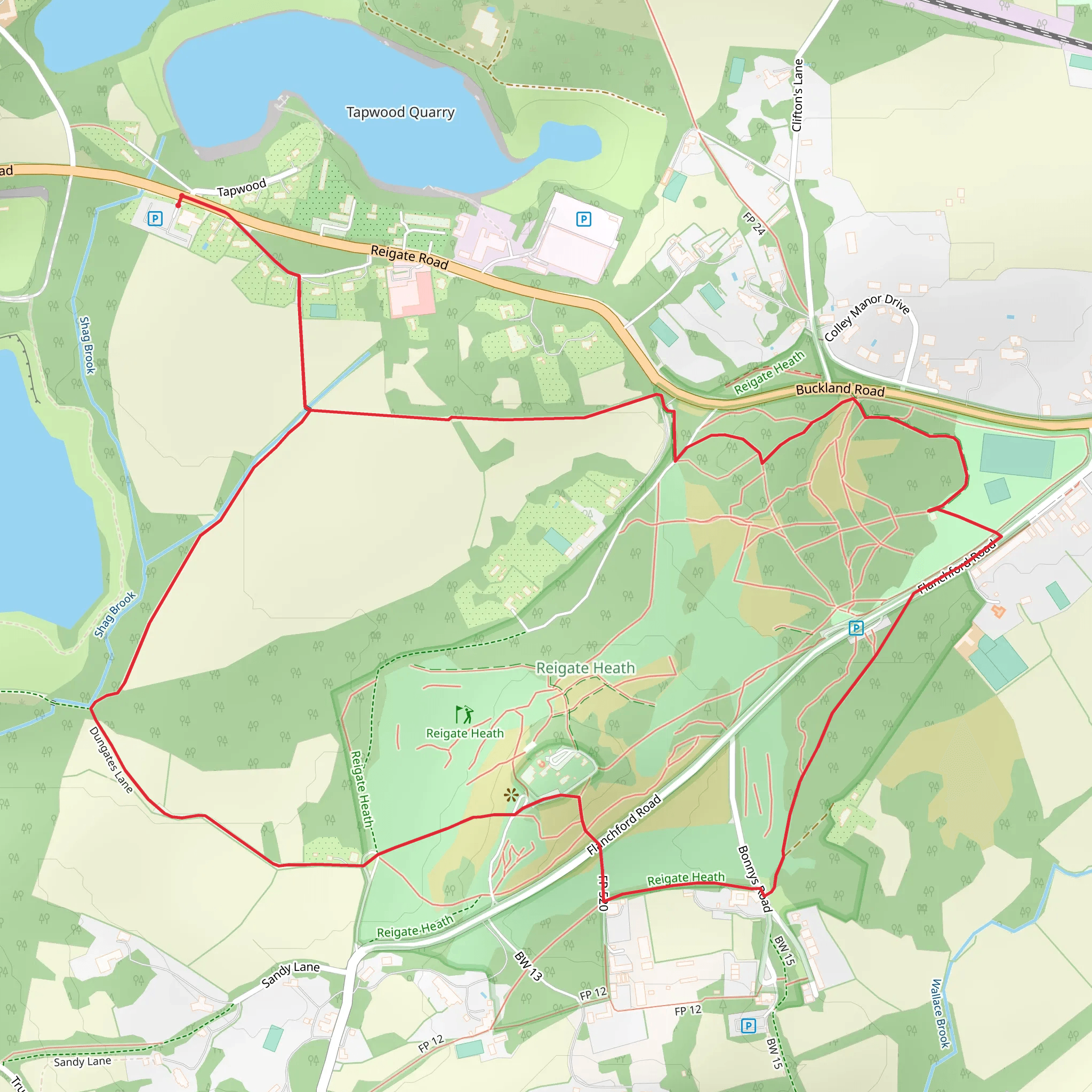 Reigate Heath Walk mobile static map