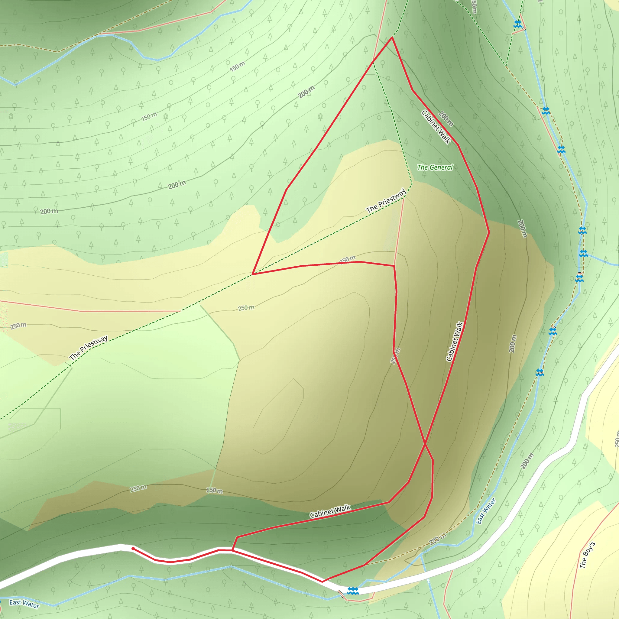 Horner Wood Ancient Trees and Cabinet Loop Walk | Somerset | England