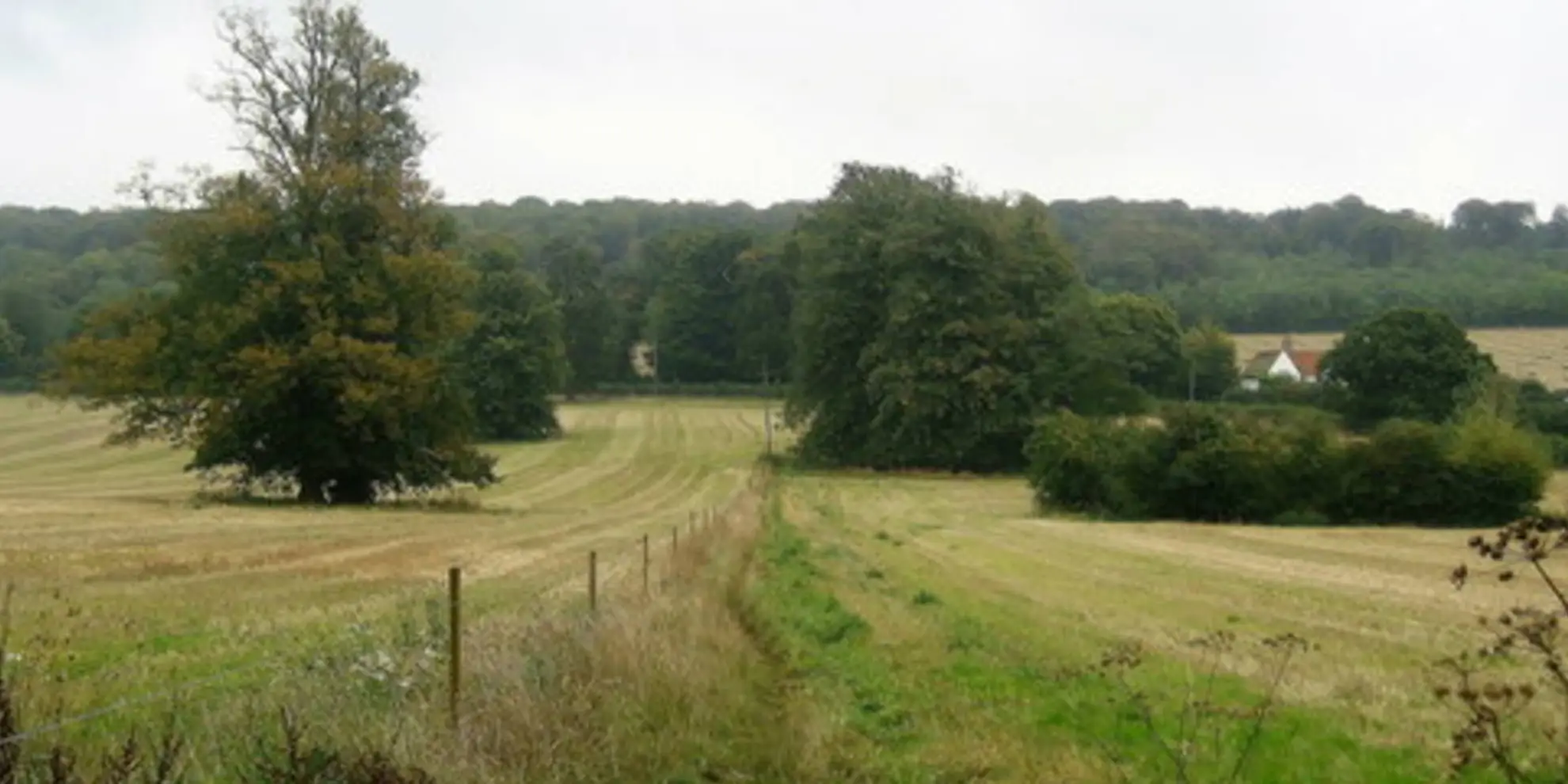 An image depicting the trail The Ridgeway at Chequers and its surrounding area.