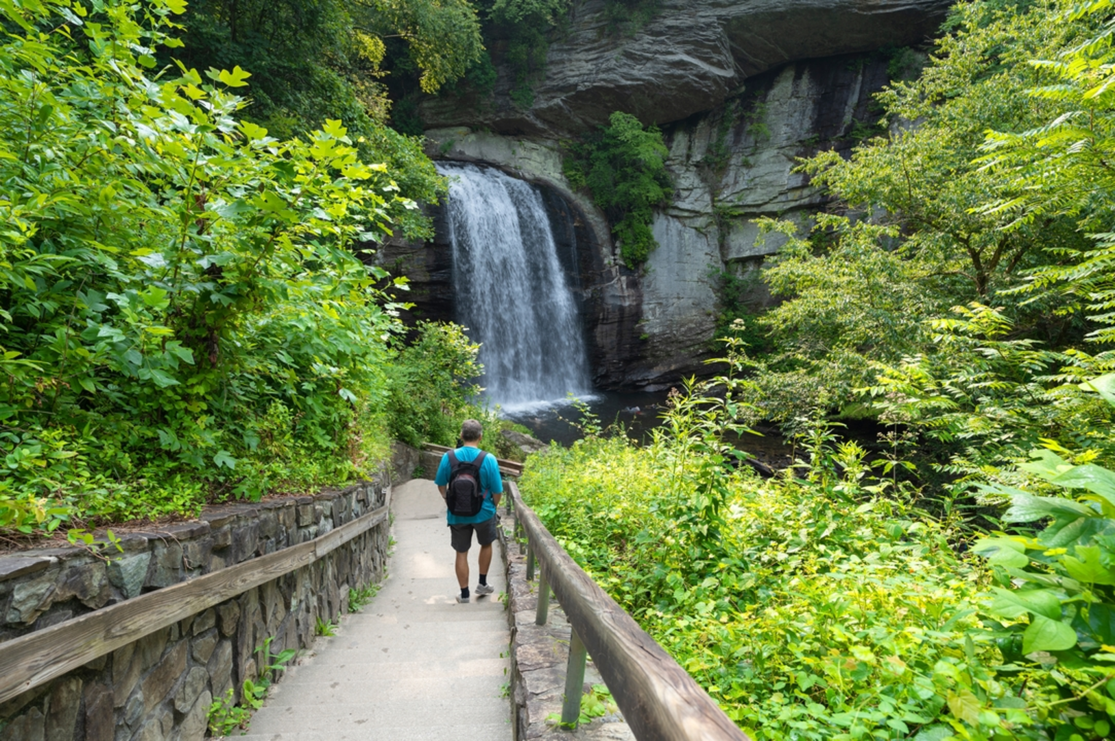 An image depicting the trail Coontree Loop Trail and its surrounding area.