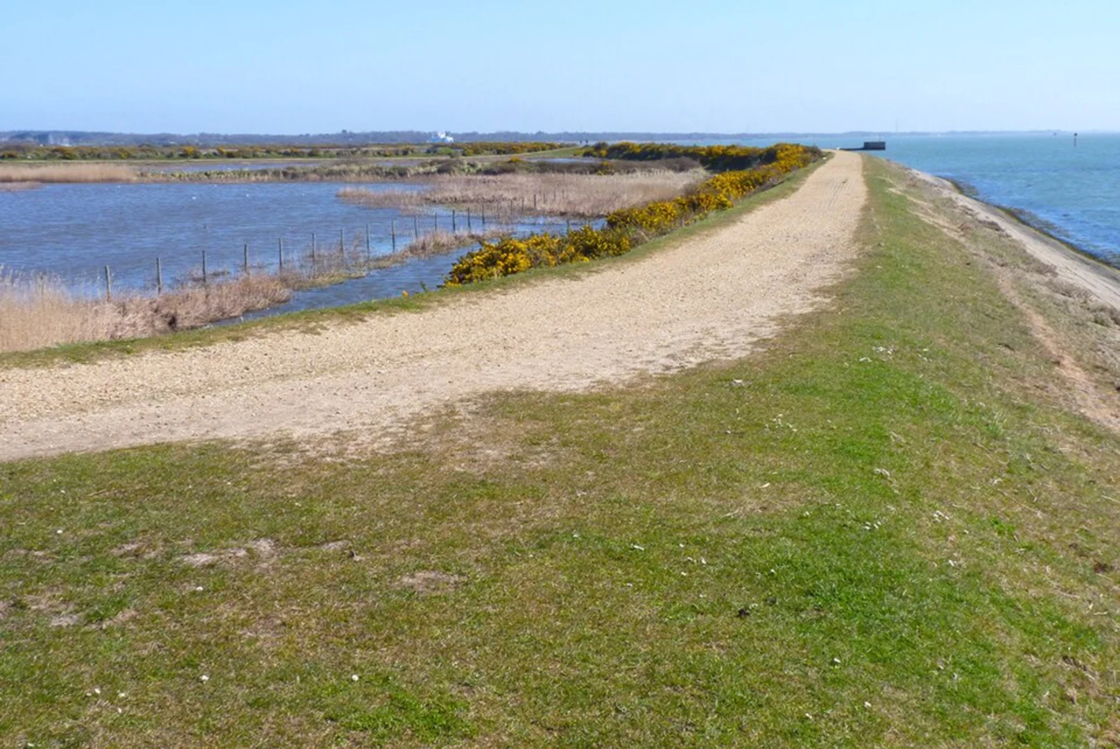 An image depicting the trail Pennington Marshes Loop and its surrounding area.
