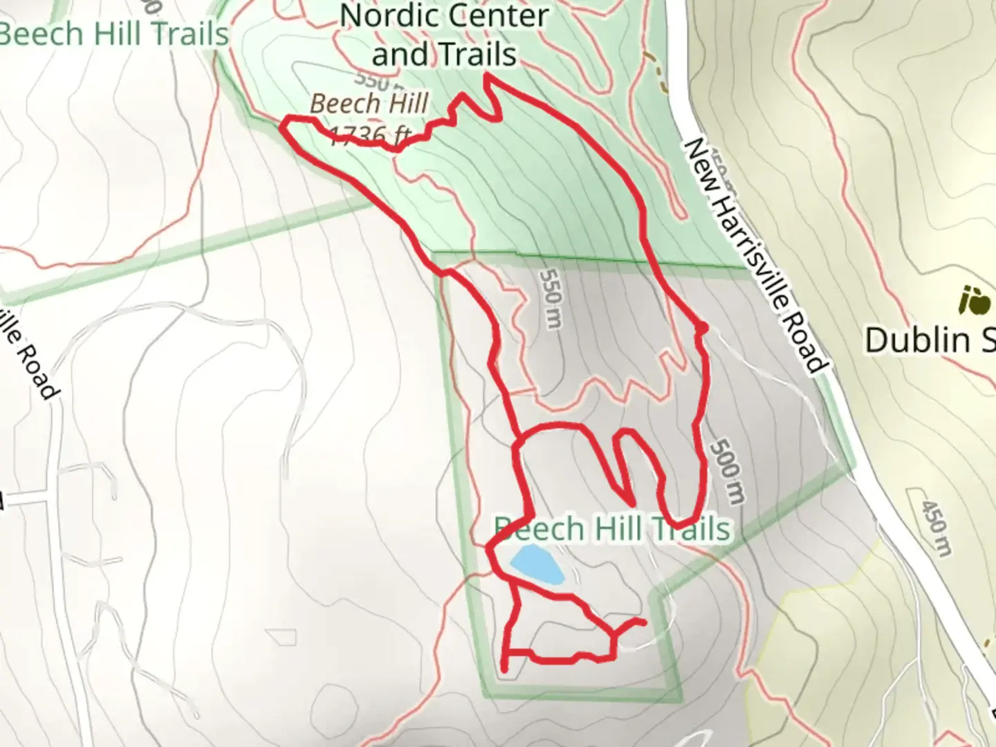 An image depicting the trail Beech Hill Loop and its surrounding area.