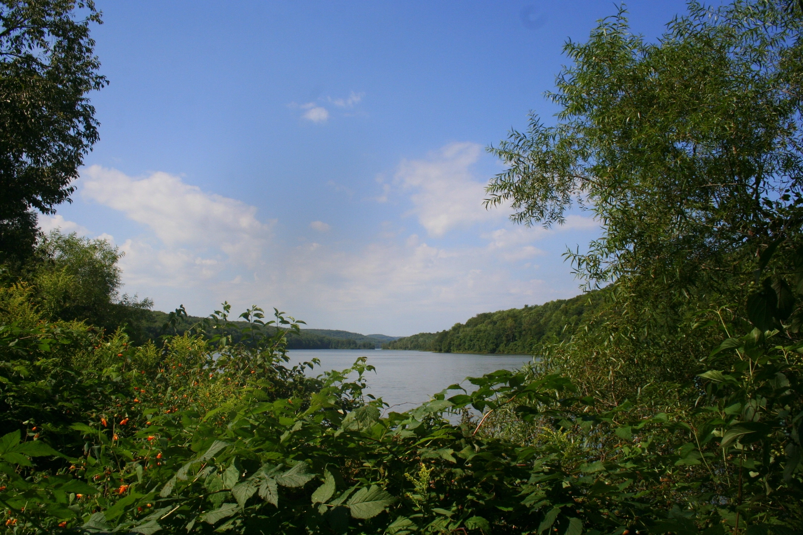An image depicting the trail East Shore Trail and Cliff Trail Loop and its surrounding area.