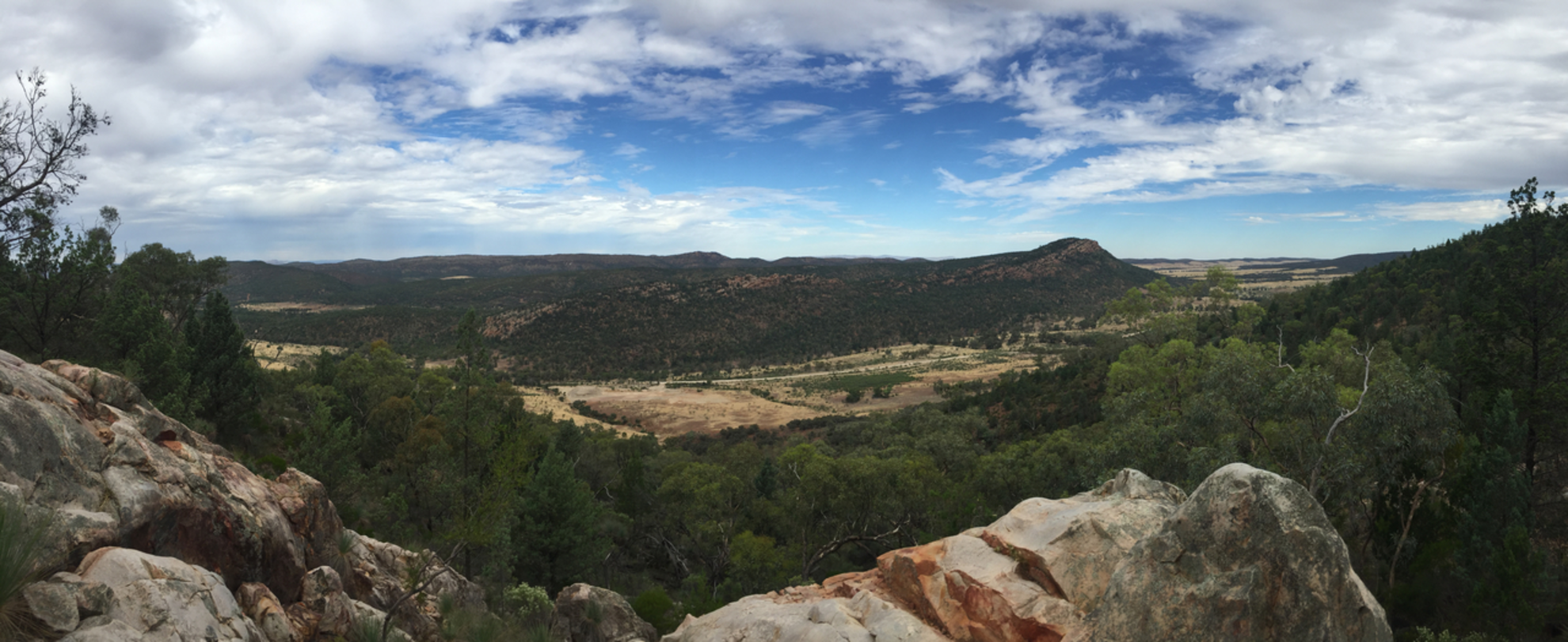 An image depicting the trail Dutchmans Summit Track and its surrounding area.