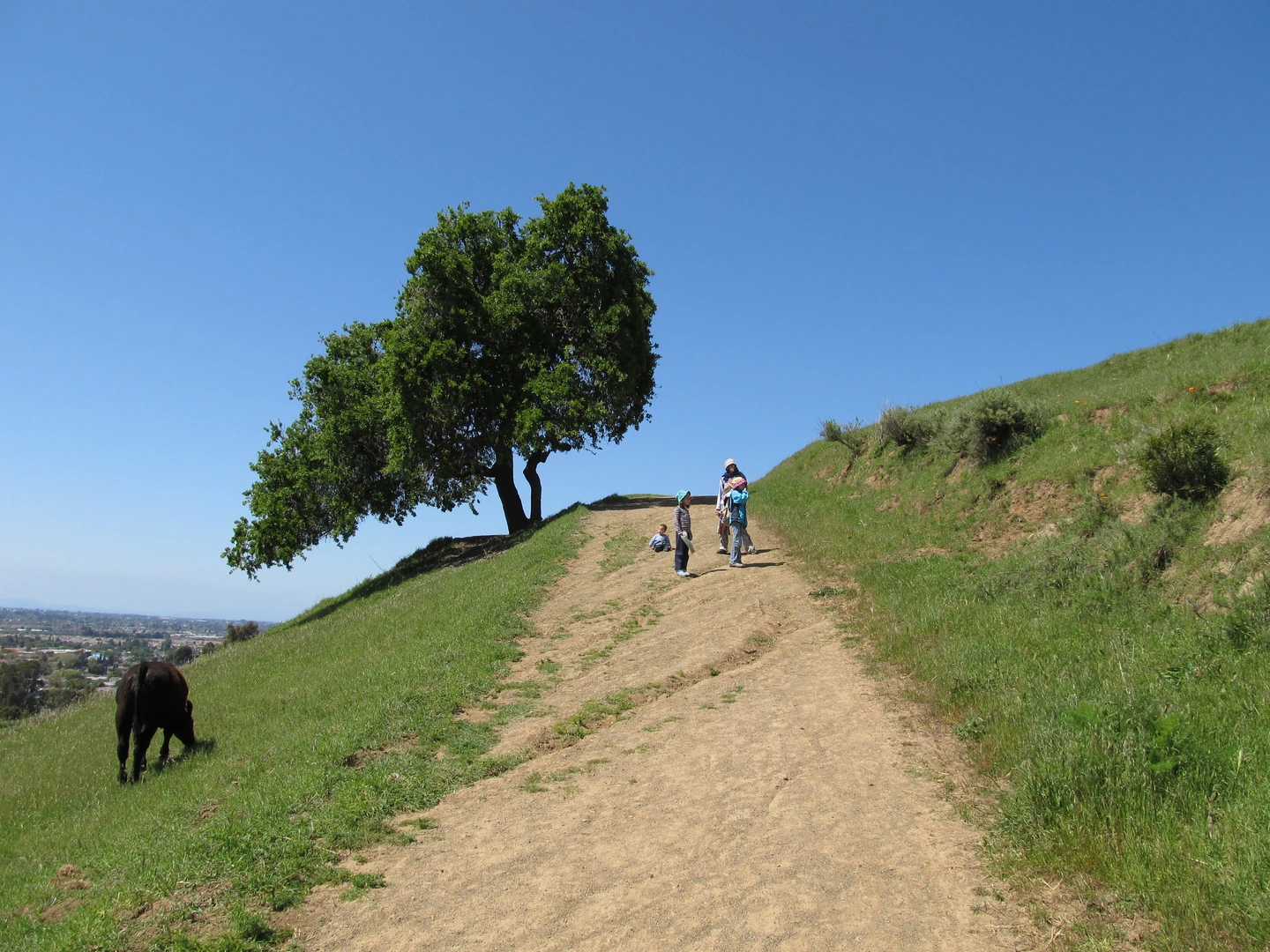 An image depicting the trail High Ridge and Meyers Ranch Loop Trail and its surrounding area.