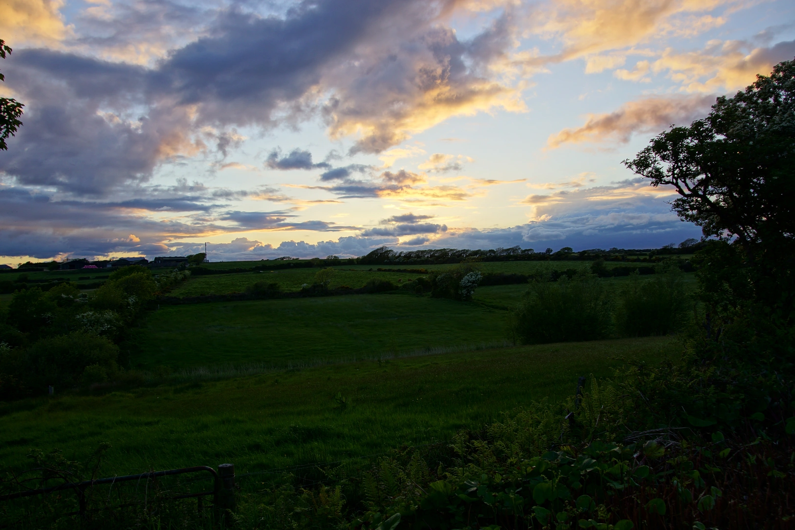 An image depicting the trail Durrow Leafy Loops - Dunmore Woods Loop and its surrounding area.