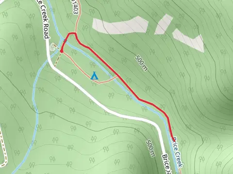 Brice Creek Trail - Short