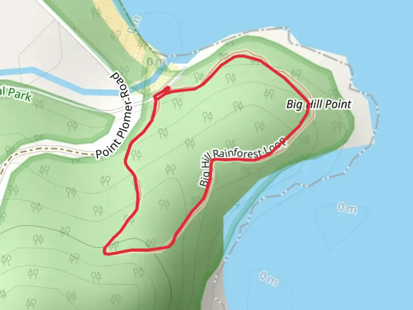 An image depicting the trail Big Hill Rainforest Track and its surrounding area.