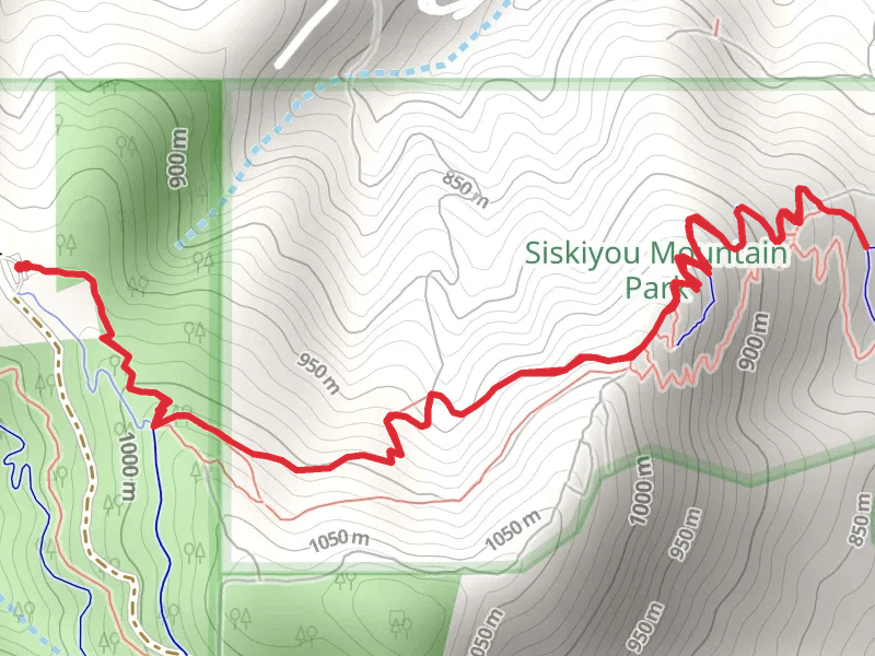 White Rabbit Trail