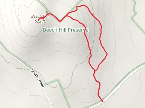 Beech Hill Loop