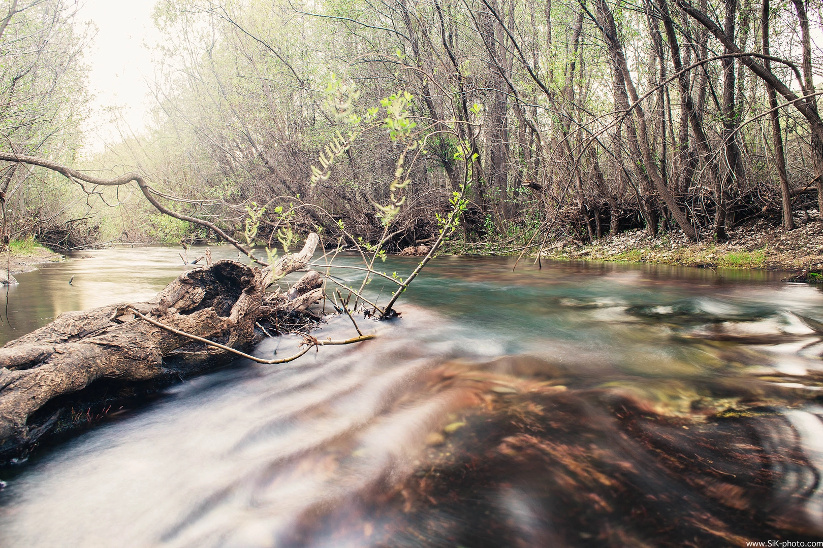 An image depicting the trail Carmel River Loop and its surrounding area.