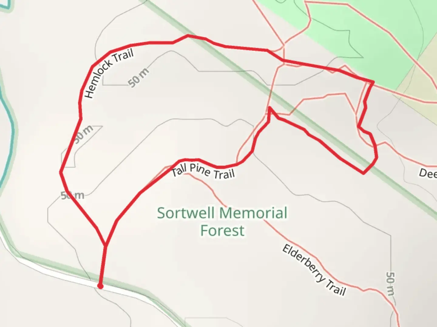 An image depicting the trail Sortwell Memorial Forest Loop and its surrounding area.