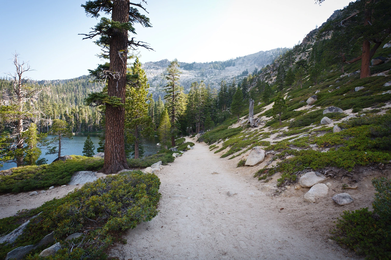 An image depicting the trail Upper and Lower Angora Lake from Forest Mountain Drive and its surrounding area.