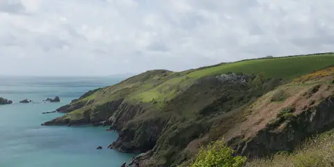 Coleton Fishacre Walk