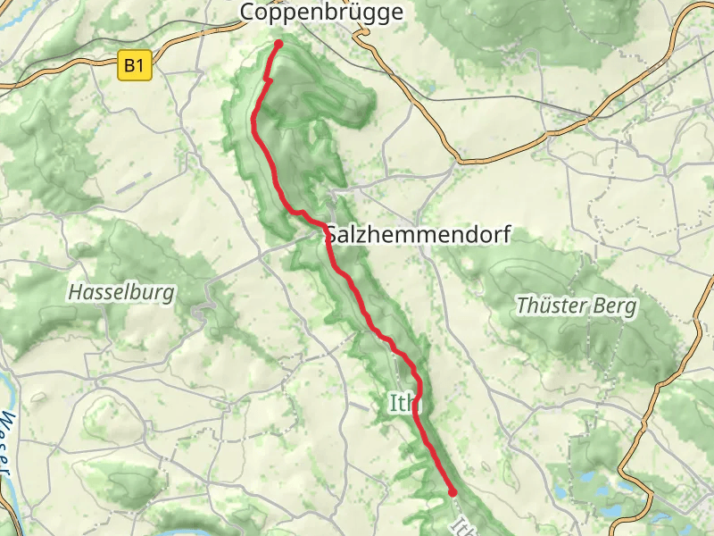 Coppenbrugge to Dohnser Wald Walk
