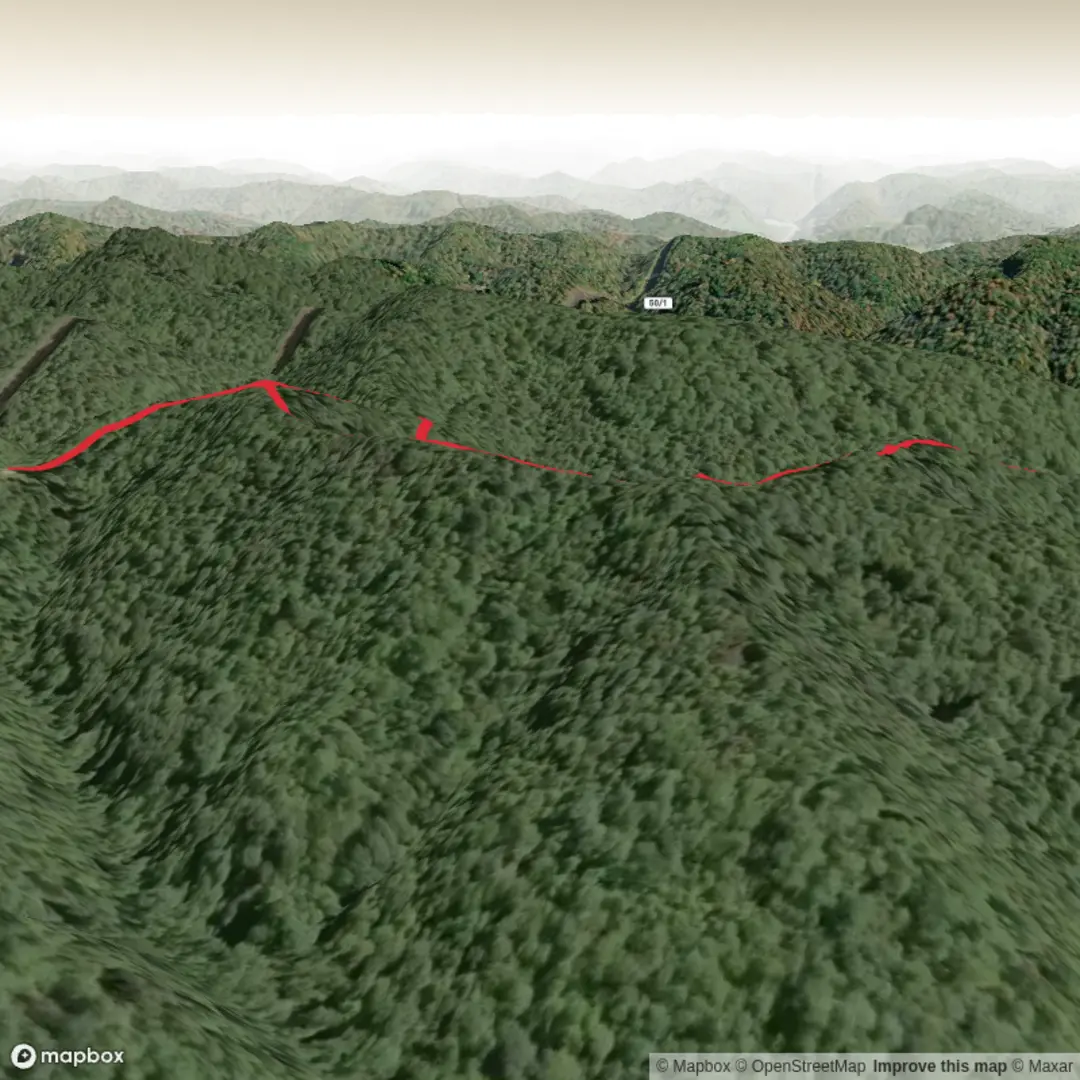 An image depicting the trail Pettigrew Trail and its surrounding area.