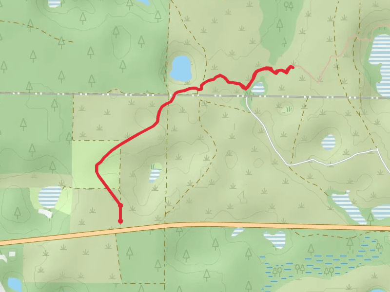 Cross Seminole Trail - Short