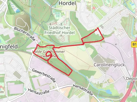 Halde Goldhammer Urwaldchen Loop