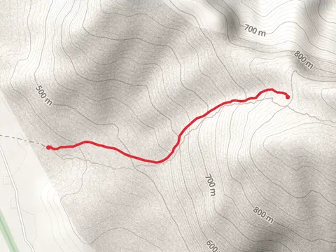 Gully Trail