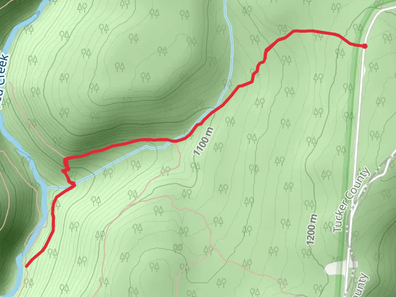 Fisher Spring Run Trail