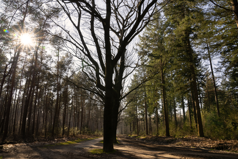 Rechterense Veld Loop