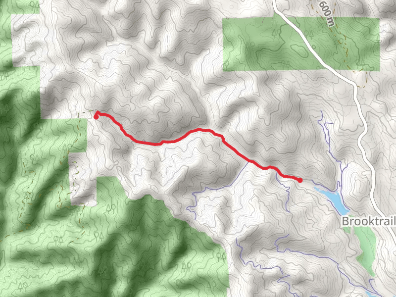 Thimbleberry and Last Chance Trail