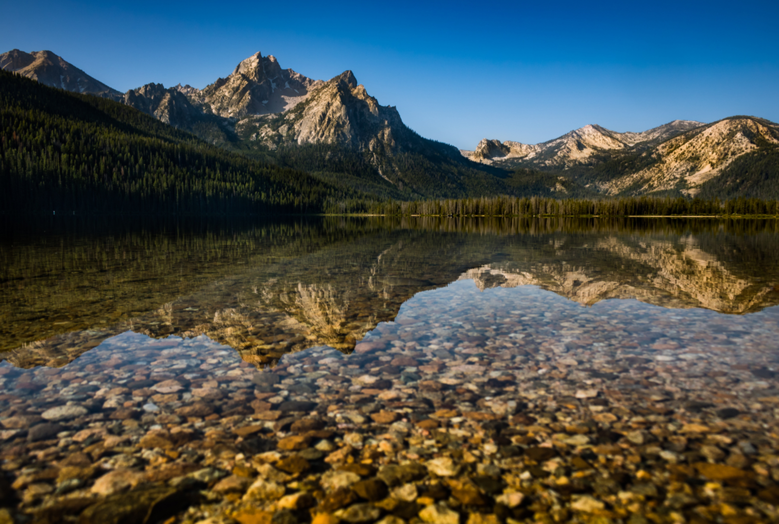 An image depicting the trail Iron Creek-Stanley Lake Trail and its surrounding area.