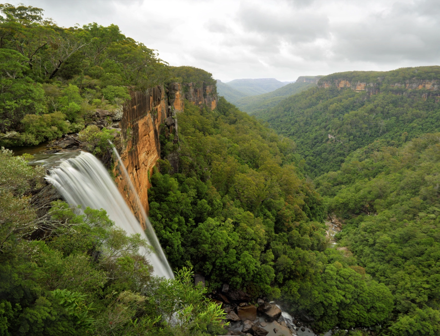 An image depicting the trail East Rim and Wildflower Track and its surrounding area.