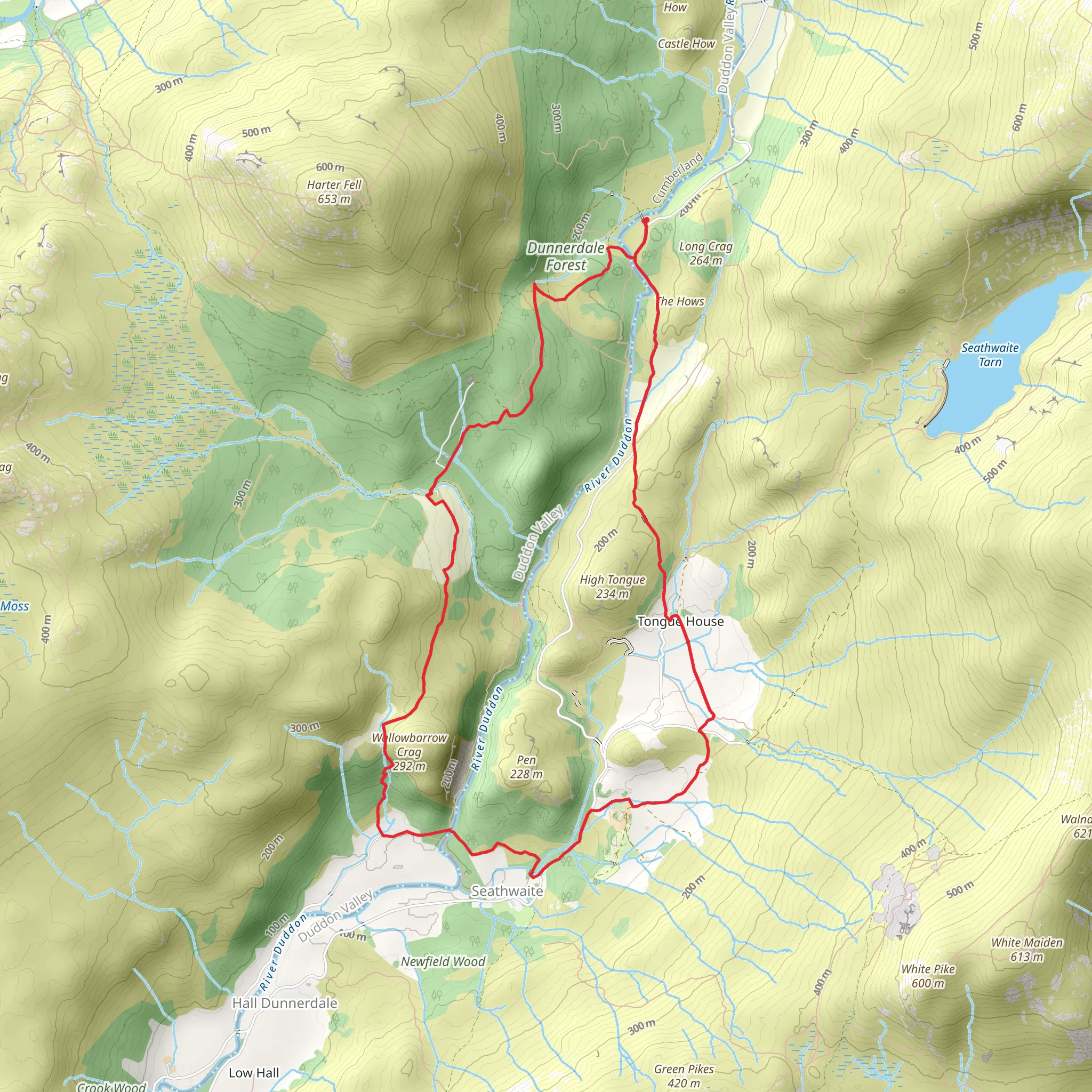 Birks Bridge to Seathwaite Loop mobile static map