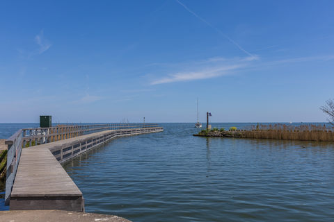 Ballastolaatbos, Vlinderbalgbos and Robbenoort Loop